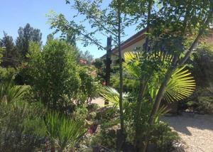 MontégutにあるGers habitationの植物の家の前庭 +81枚の写真