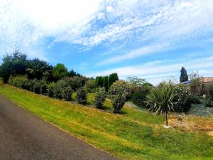 MontégutにあるGers habitationの道路脇の木並木
