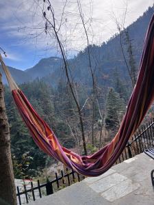 Gallery image of Swiss cottage in Jibhi