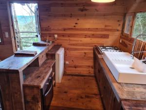 Η κουζίνα ή μικρή κουζίνα στο Cabane avec Piscine