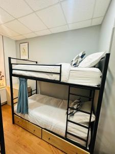 第比利斯Cosy Koala Hostel的相册照片 更多18张照片