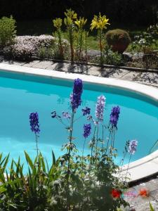 a swimming pool with purple flowers next to it at Quinta das Delicias in São Tiaguinho +23 photos