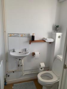 a bathroom with a toilet and a sink at Montrose House in Swindon