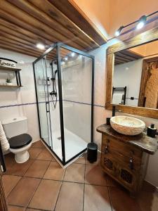 a bathroom with a shower and a toilet and a sink at Cueva del abuelo in El Molar +10 photos