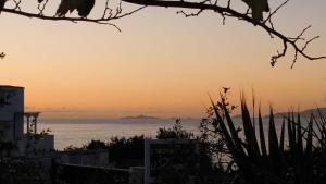 ポルティシオにあるCHALET de la plageの夕日の海の景色