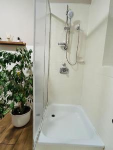 una doccia in bagno con una pianta di Ferienwohnung Schönheit a Gönnern Altre 12 foto