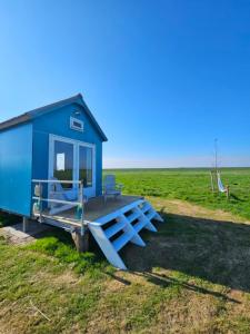 a blue tiny house with a picnic table in a field at Surf Shack in Scharendijke +16 photos