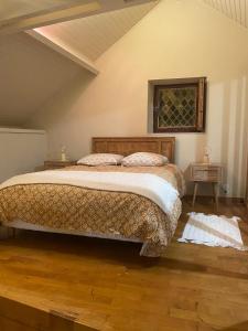a bedroom with a large bed in a attic at Maison authentique in Flavigny-sur-Ozerain