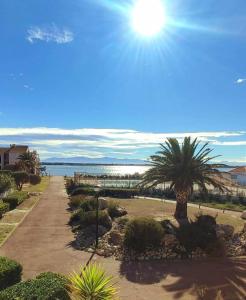 Naturlandskabet i nærheden af lejligheden