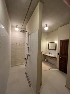 a bathroom with a shower and a sink at Große Loft im Naturschutzgebiet mit eigenem Garten in Templin