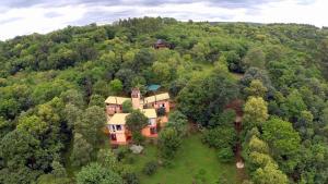 widok z powietrza na dom w środku lasu w obiekcie Amaraka Lodge w mieście Leandro N. Alem