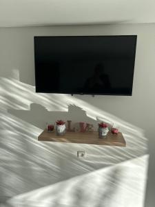 ein Flachbildfernseher an einer Wand mit drei Pflanzen in der Unterkunft Love room in Camaret-sur-Aigues