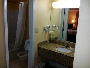 ein Badezimmer mit einem Waschbecken, einem WC und einem Spiegel in der Unterkunft Loyalty Inn Rockingham in Rockingham