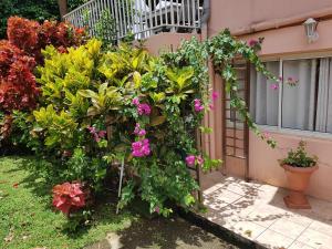 a garden with flowers on the side of a house at Mary Madinina in Fort-de-France