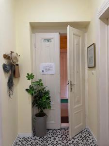 a hallway with a white door and a potted plant at Ergzotic Apartments & Room in Sombor