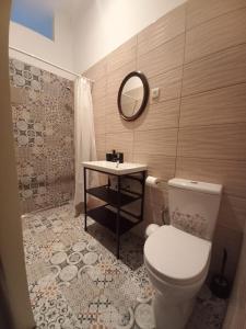 a bathroom with a toilet and a sink and a mirror at Ergzotic Apartments & Room in Sombor