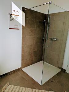a shower with a glass door in a bathroom at Stylish city apartment in Siegen +14 photos