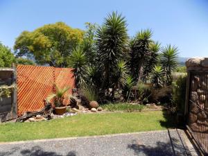 En have udenfor KINGFISHER BLUE on Milkwood