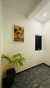 a room with a plant and a tv on a wall at Villa J Ambalangoda in Ambalangoda +22 photos
