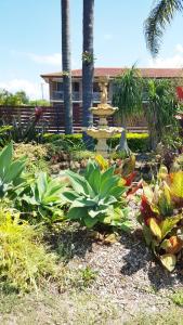 Zahrada ubytování Tuncurry Motor Lodge