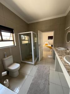a bathroom with a toilet and a shower and a sink at Cora's Boutique Bed & Breakfast in Swakopmund