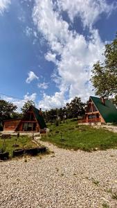 two houses with green roofs sitting on a grass field at Rubicon Cabins in Secăria +26 photos