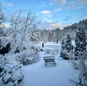 eine schneebedeckte Bank in einem Park in der Unterkunft Hollhouse - Bed & Breakfast in Hinterzarten