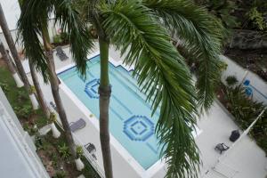 an overhead view of a swimming pool with a palm tree at Bay Point- Ocean View Apartments by NIDHO PROPERTIES in San Andrés