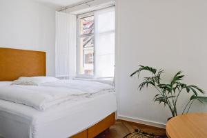 Postelja oz. postelje v sobi nastanitve Consum Boutique Hotel