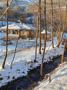 a house in the snow next to a river at OAZA in Mokra Gora