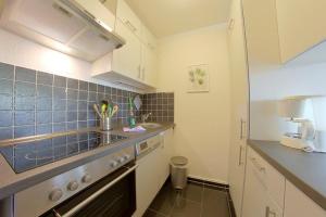 een kleine keuken met een spoelbak en een fornuis bij Apartment 238 in Hohegeiß