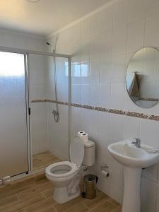a bathroom with a toilet and a sink and a shower at Hostal Panul in Panulcillo