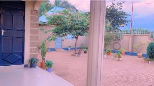 an outside view of a courtyard with potted plants at Evelina House in Boma la Ngombe +7 photos