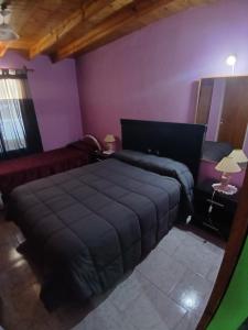 a bedroom with a black bed and purple walls at Dpto Mario in Uspallata