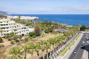 プエルト・デ・ラ・クルスにあるFamily Friendly Apartament Puerto de la Cruz Summa Hausのヤシの木と海の空中を望む