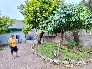 a man standing next to a tree in a yard at Abelarde Casita at Bata in Bacolod