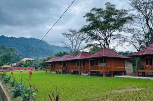a row of wooden houses in a green field at Bait Lino in Rantepao