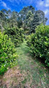 Gallery image of Villa San Nicolas in Itagüí