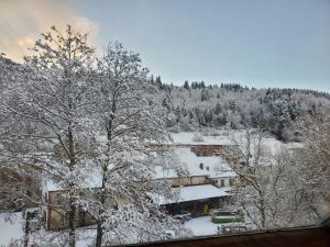 CHEZ ESTER talvella