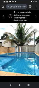 a picture of a swimming pool with a palm tree at Sítio do sucego in São Gonçalo do Pará