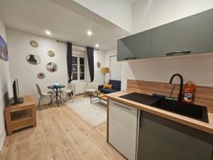 a kitchen with a sink and a living room at Le Petit Cocon de Saint-Brieuc in Saint-Brieuc