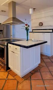 a kitchen with a counter with a vase of flowers on it at The views rental house in Pompano Beach