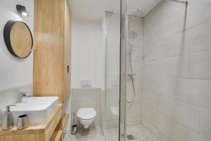 a bathroom with a shower and a toilet and a sink at Appartement Place Stanislas 2 in Nancy