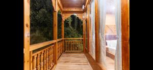 Balkón nebo terasa v ubytování Simmy's Tree Cottage + 3 fotografie