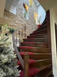 ティミショアラにあるGrazia Apartmentのクリスマスツリーのある家の階段