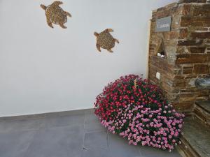 Fotografie z fotogalerie ubytování Galazio Rooms & Suites v destinaci Batsi
