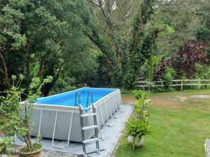 a swimming pool with a ladder in a garden at Casa na Serra para 14 Pessoas com Piscina e Churrasqueira - Da Francesa in Bom Jardim
