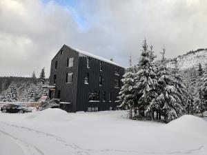 Ein schwarzes Gebäude im Schnee mit einem Baum in der Unterkunft Triple room with Balcony Transalpina Ski Resort - TRI1 in Obarsia-Lotrului + 34 Fotos
