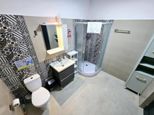ein Badezimmer mit Dusche, Toilette und Waschbecken in der Unterkunft Triple room with Balcony Transalpina Ski Resort - TRI1 in Obarsia-Lotrului