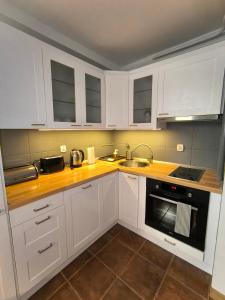 Kuchyň nebo kuchyňský kout v ubytování Apartament widokowy z tarasem Bukowa Wisła